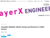 mysqlsh (MySQL Shell): Dump and Restore in AWS Aurora - LayerX エンジニアブログ